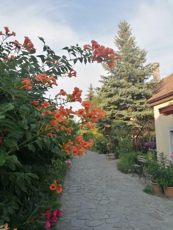 Bed and Breakfast Szentesi Panzió Fertőrákos Exterior foto