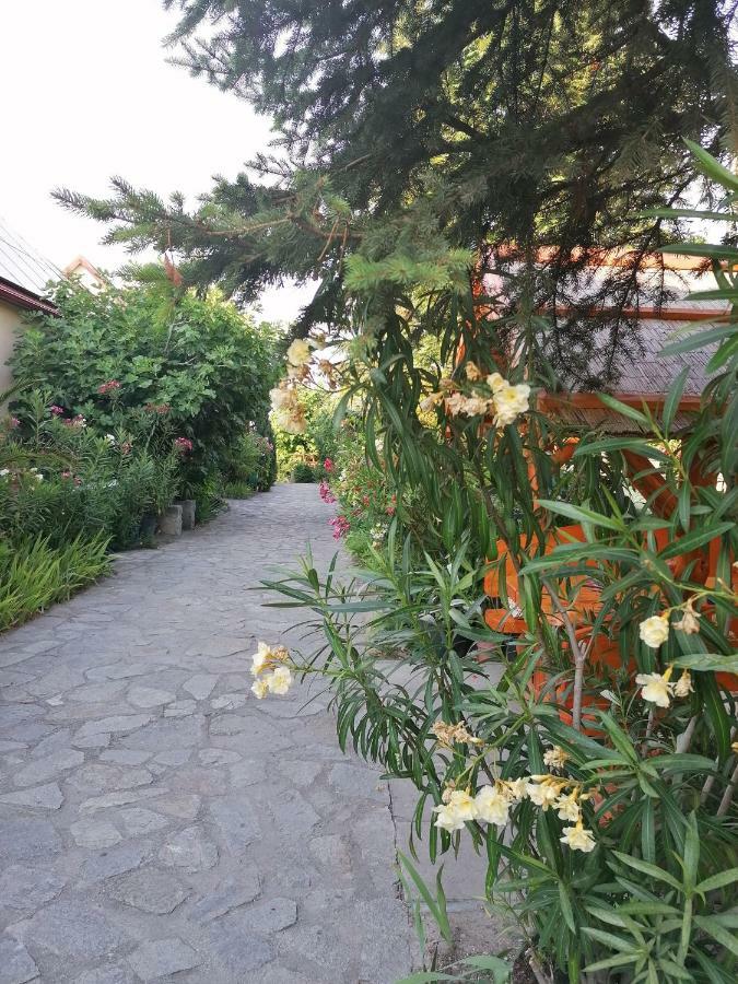 Bed and Breakfast Szentesi Panzió Fertőrákos Exterior foto